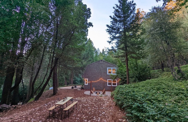 Stylish Family Friendly Cottage in the Woods