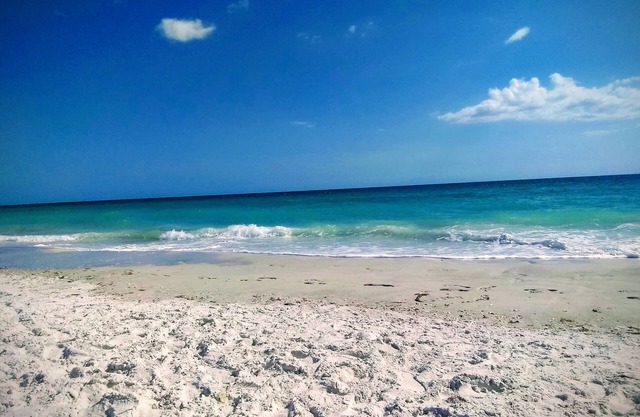 Stylish Updated condo near Bradenton/Holmes beach -Anna marie island-Heated pool