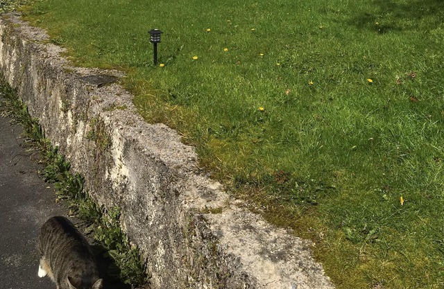 Conversion substantielle d'une grange de 3 chambres près des balises de Brecon avec Wifi gratuit