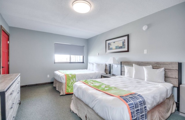 Suite 203 - 1BR Apartment with 2 Beds and Kitchen