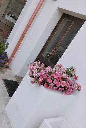 Suite da Ninna 2