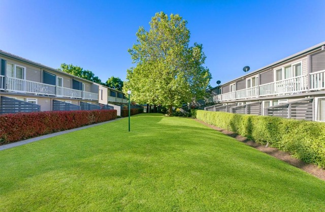 Summer East Apartments
