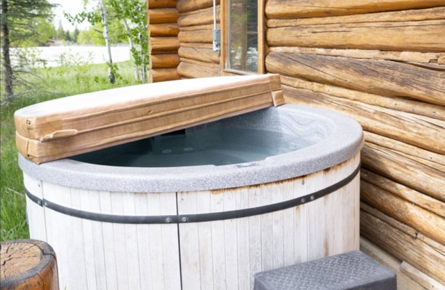 Spring Rates at Targhee Log Cabin, Stunning Views
