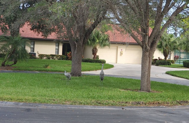 10% MONTHLY DISC.! Beautiful Condo minutes from Siesta Key Beach