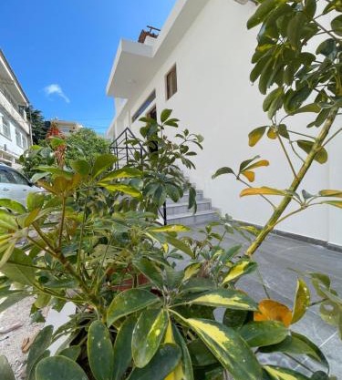 Sun and Sea Apartment Saranda
