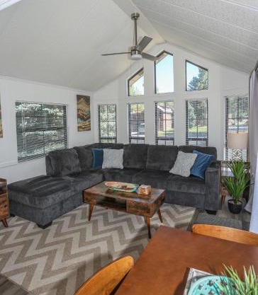 Sun & Snow Chalet Breckenridge, a dog lovers dream!