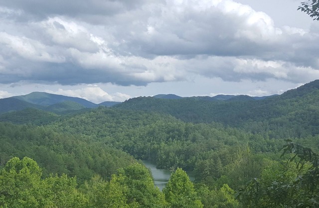 Vue panoramique à longue portée, accès au lac, accessible en fauteuil roulant!