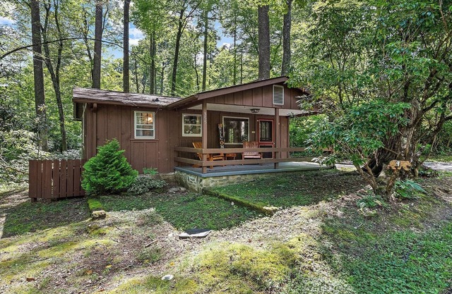 Sunflower Shack: 1 BR, 1 BA Cabin or Bungalow in Maggie Valley, Sleeps 2