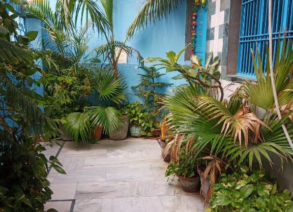 Sunita homestay