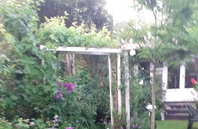 Sunny log cabin set in beautiful peaceful garden . 10mins walk to town and beach