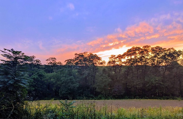 Sunset Hill Glamoing Next to the Kokosing, Kenyon College and Amish Country