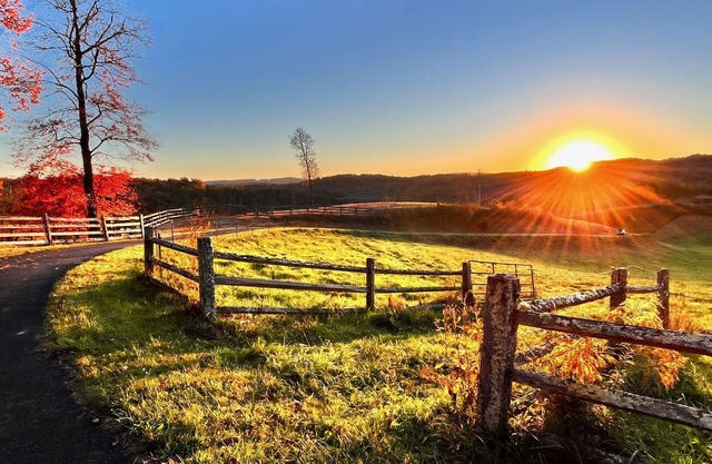 Sunset Ridge 3 rentals on 20 acres views & firepit