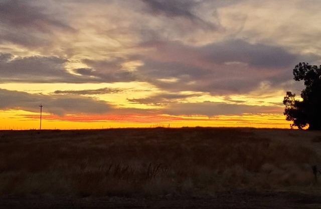 Sunset Sanctuary in Country