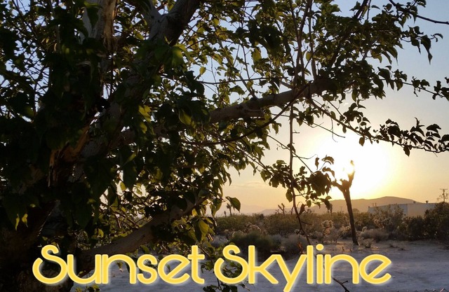 "Sunset Skyline" Profitez d'une vue majestueuse et paisible lors de cette escapade huppée de Joshua Tree