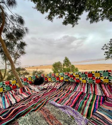 Sunset Tree Camp