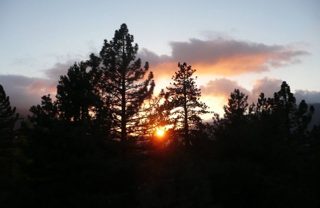 Coucher de soleil au Pine Mountain Club ~ Chien OK ~ Promotions!