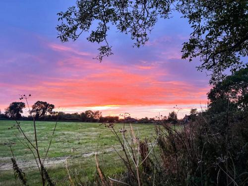 Sunset View