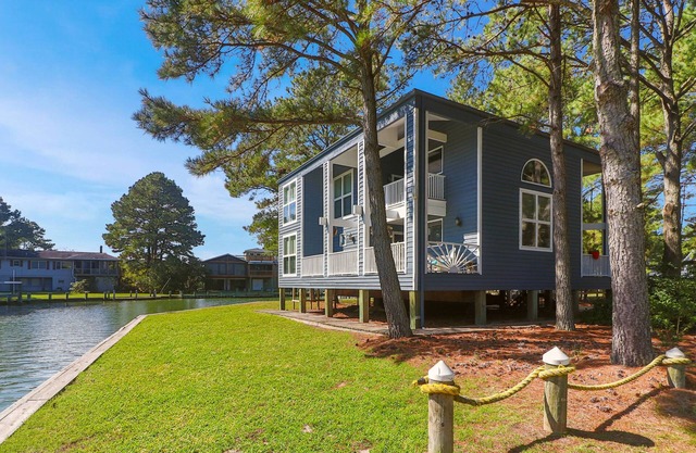 Sunshine Daydream - Pet friendly; Waterfront!