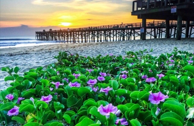 Super mignon chalet côté plage au coeur du centre-ville de Flagler Beach