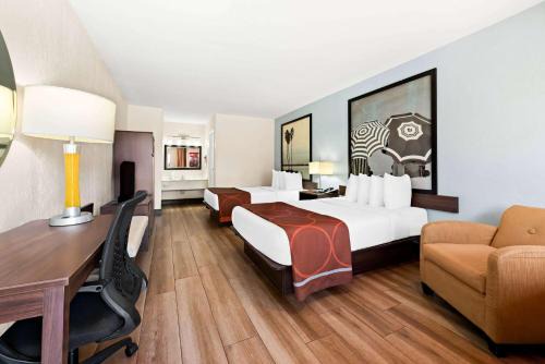 Super 8 by Wyndham Florida City/Homestead/Everglades