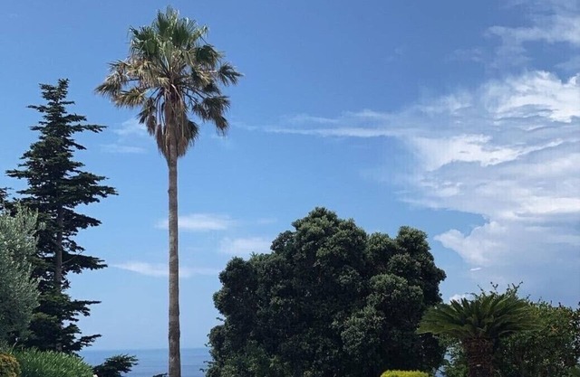 Superbe villa panoramique à San Lucido, Calabre