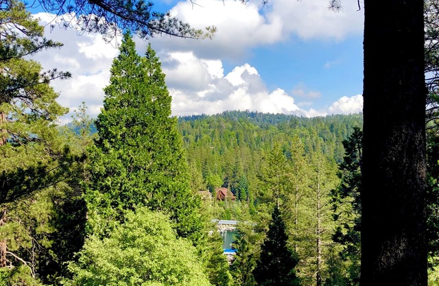 Superb treetop cabin with Blue Jay Bay view and WiFi in Lake Arrowhead