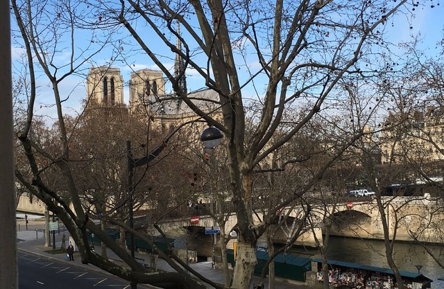 SUPERBE 2 P NOTRE DAME VUE SUR LA SEINE ET CEREMONIE OUVERTURE JO