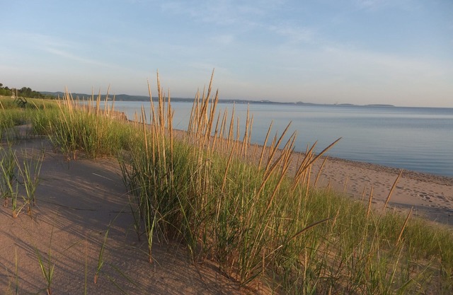 Beach House Supérieure - Plage de sable blanc et le lac S à quelques pas de la porte d'entrée!