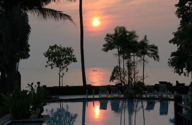 Vue supérieure sur le jardin dans un paysage tropical