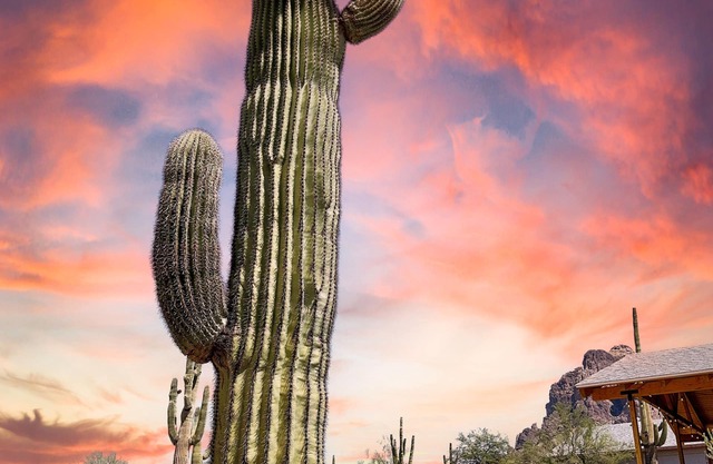 Superstition Mountains at Your Doorstep! Remodeled Bungalow!