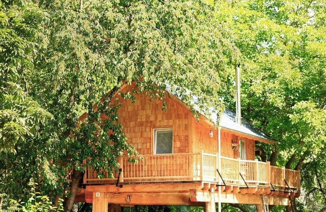 Sustainable tree house BaHu with sauna and hot tub in the middle of nature
