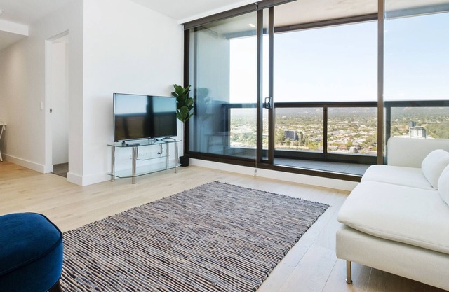 Swainson at Vue-2503