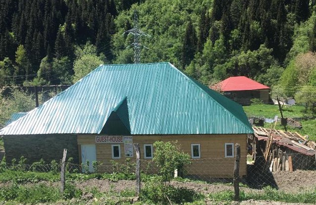 Sweet home