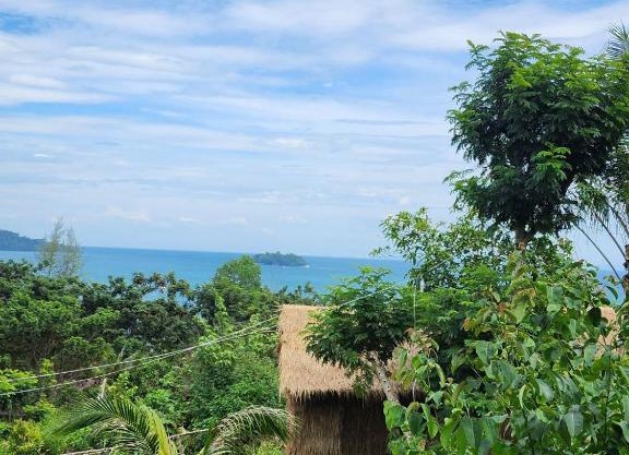 Sweet Jungle Camping