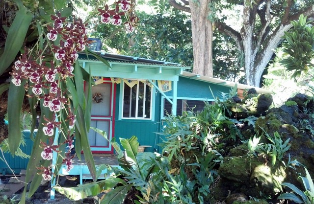 UNE MAISON GROTTO ENCHANTÉE SOUS DES ARBRES DE TAILLE JURASSIQUE EST UNE VOIE ROMANTIQUE