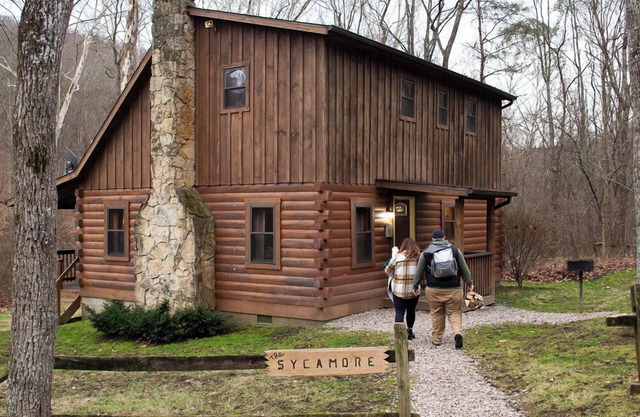 Sycomore | Hocking Hills