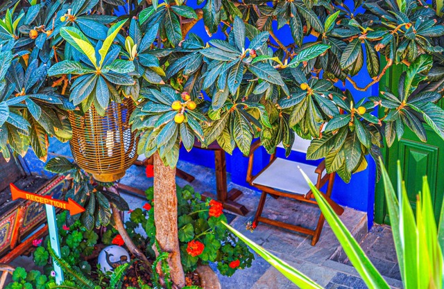 Symi Garden Studios
