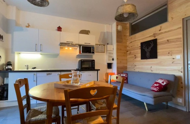 APPARTEMENT T3 AVEC TERRASSE VUE SUR LE SANCY - CURES OU VACANCES -