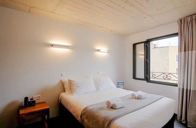 T3 - Logement numéro 3