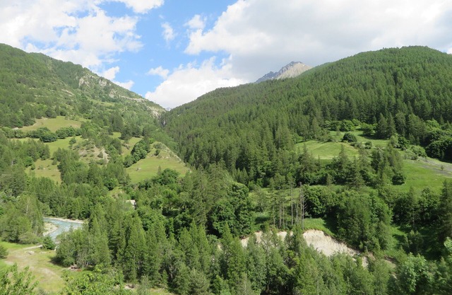T3 en pleine nature