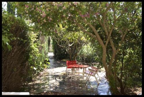 T3 vue jardin à deux pas du centre du village