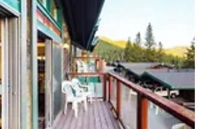 Tahoe Chaparral