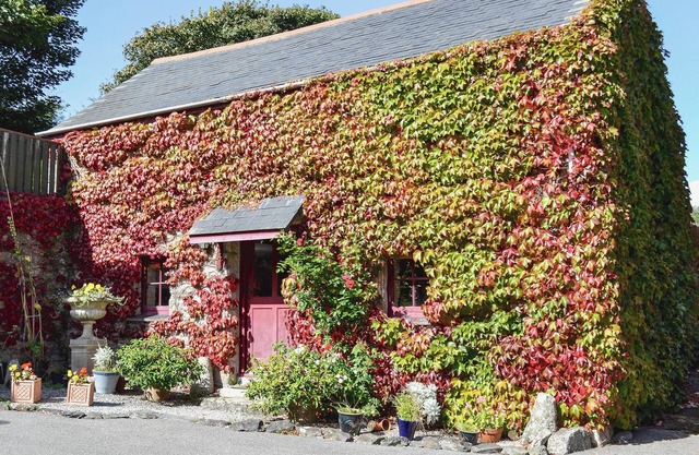 Hébergement 1 chambre �� Breage, près de Helston