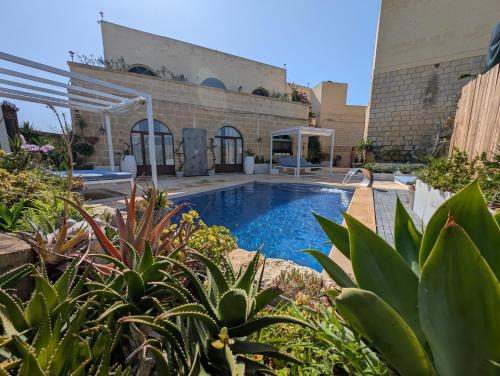 Tal Jordan Complex