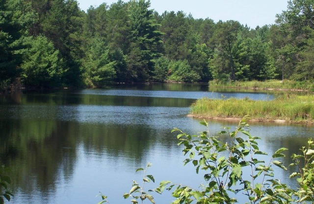 Tall Pines Lodge (chalets sur le lac de sérénité) assis 80 hectares de la faune!
