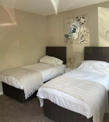 Tall Pines Lodges