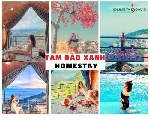 Tam Đảo Xanh Homestay - Venue Travel