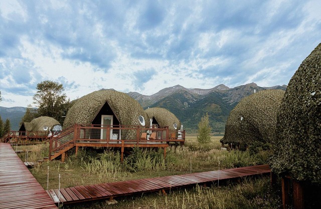 Tammah Jackson Hole