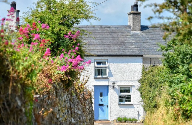 Tan y Fynwent