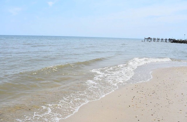 Tanera Moor: les bois, la mer et l'accès à la plage de sable - le tout dans une seule maison